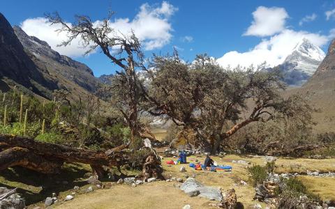 Trekking Cordillera Blanca Perú