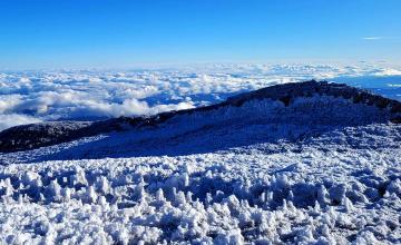 Cumbre Volcan Lanin